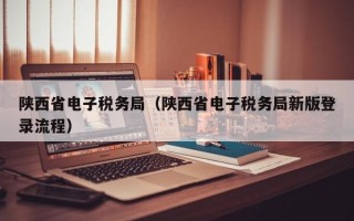 陕西省电子税务局（陕西省电子税务局新版登录流程）